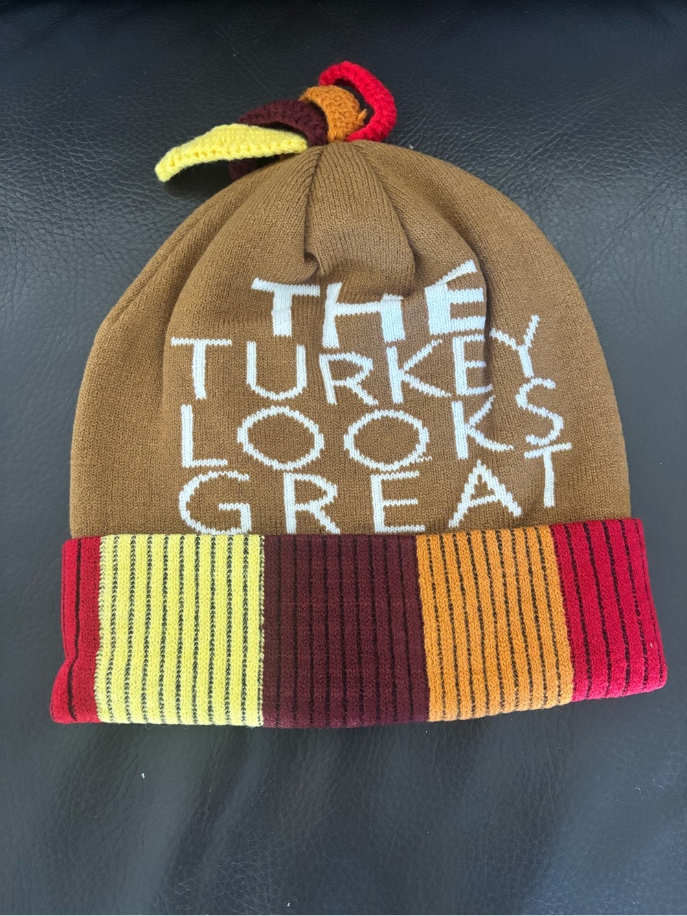 Turkey Pom-Pom Beanie Hat - pick 1 - Picture 6 of 7